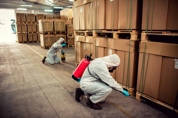 Best Bed Bug Extermination  in Jerome, ID