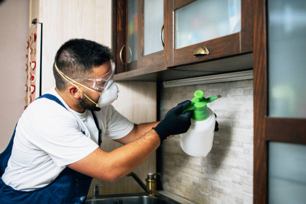 Best Pest Control Treatment  in Jerome, ID