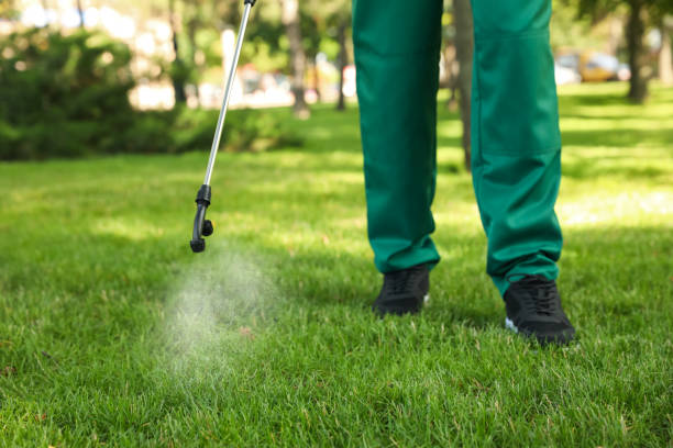 Best Pest Removal Services  in Jerome, ID