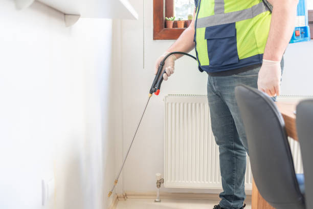 Best Wasp Removal Services  in Jerome, ID