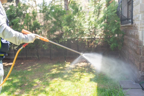 Best Affordable Pest Control Services  in Jerome, ID