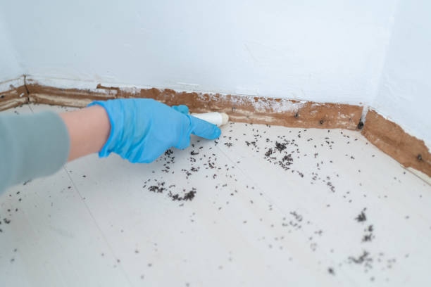 Trusted Jerome, ID Pest Control Experts